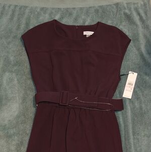 Calvin Klein Strapless Belted Sheath Dress in Deep Wine